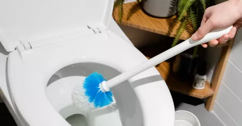 Toilet Cleaning